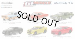 画像1: 2016 GREENLIGHT GL MUSCLE S16 【6種セット】 