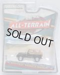 2017 GREENLIGHT ALL-TERRAIN S5 【1994 JEEP WRANGLER SAHARA】  BLACK-TAN/RR