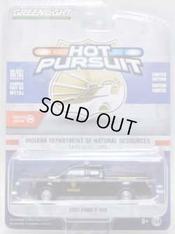 画像1: 2019 GREENLIGHT HOT PURSUIT S29 【2017 FORD F-150】 BLACK/RR (INDIANA DEPARTMENT OF NATURAL RESOURCES)