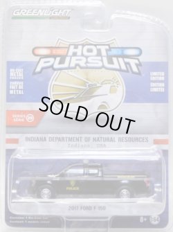 画像1: 2019 GREENLIGHT HOT PURSUIT S29 【2017 FORD F-150】 BLACK/RR (INDIANA DEPARTMENT OF NATURAL RESOURCES)