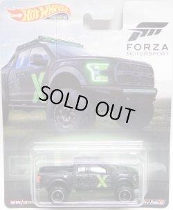 画像1: 2019 RETRO ENTERTAINMENT 【"FORZA MOTORSPORT" '17 FORD F-150 RAPTOR】 FLAT BLACK/RR(日本未発売）