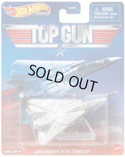 画像1: 2021 RETRO ENTERTAINMENT 【"TOP GUN" GRUMMAN F-14 TOMCAT】LT.GRAY(台座付き）