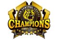 ★☆★阪神タイガース　2026セントラルリーグ優勝おめでとう!!★☆★