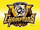 画像: 【9/10の20時に終了いたしました】阪神タイガース優勝セールのお知らせ♪