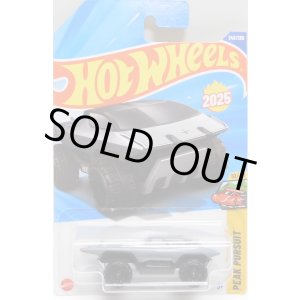 画像: 【Polestar TRX】GRAY (NEW MODEL)